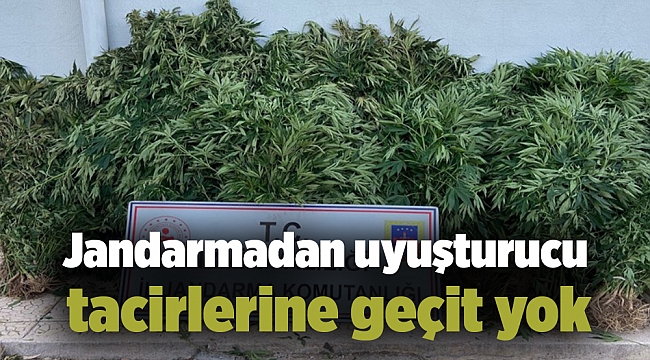 Jandarmadan uyuşturucu tacirlerine geçit yok