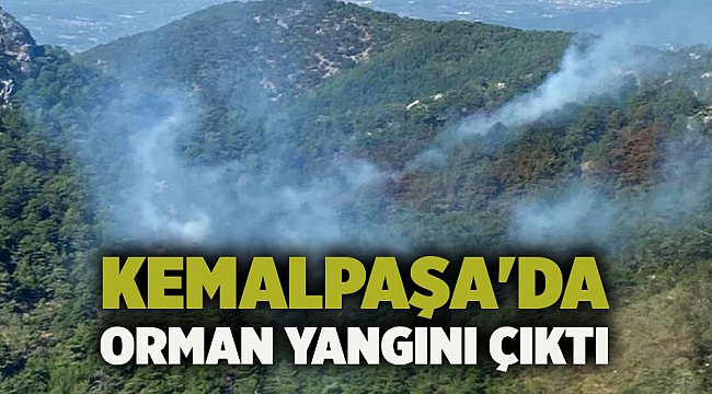 Kemalpaşa&#039;da orman yangını çıktı