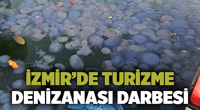 İzmir'de Turizme denizanası darbesi