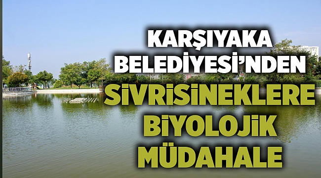 Karşıyaka Belediyesi, sivrisineğe karşı biyolojik yöntemlerle mücadele ediyor