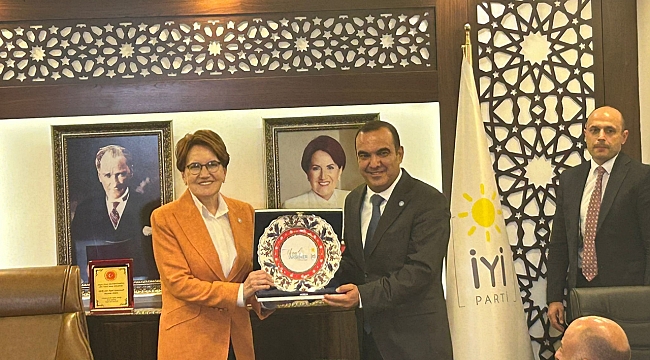 Meral Akşener'den ilk mesaj: Elif gibi dik olacağım!