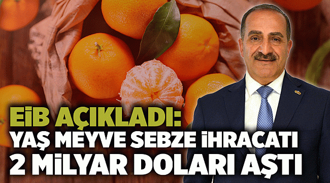 Yaş meyve sebze ihracatı 2 milyar doları aştı