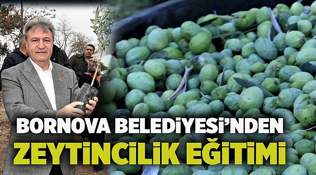 Bornova Belediyesi’nden zeytincilik eğitimi