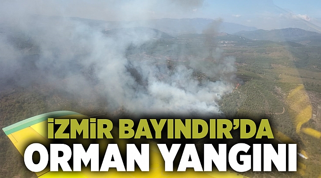 İzmir'de çıkan orman yangınına müdahale ediliyor