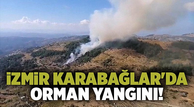 İzmir Karabağlar&#039;da orman yangını!