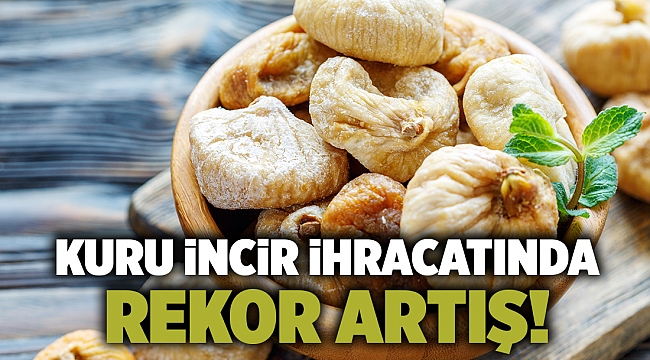Kuru incir ihracatında rekor artış!