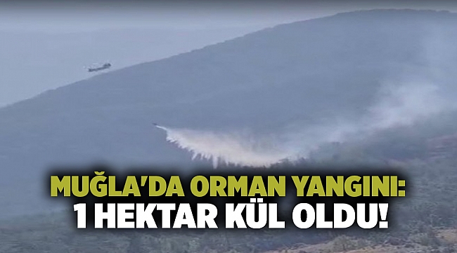 Muğla'da orman yangını: 1 hektar kül oldu!