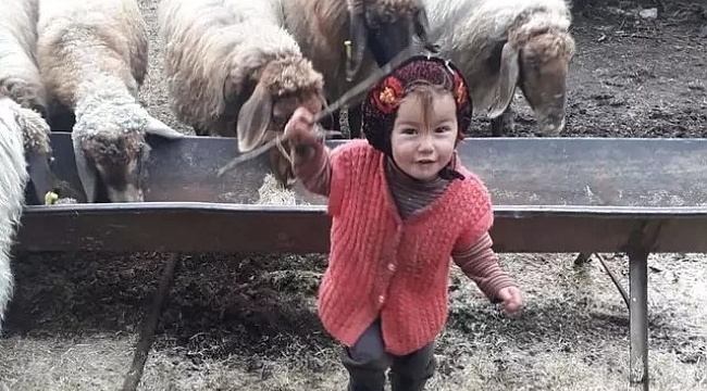 Türkiye'nin gündemine oturmuştu! Müslüme Yağal'ı öldürme suçundan beraat eden dede Hasan Yağal'a hapis cezası