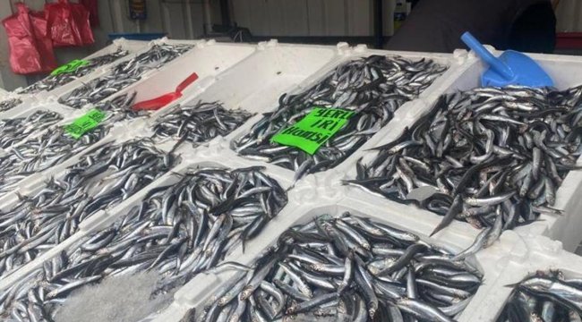 Vatandaş balığa yöneldi