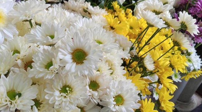 Çiçekçiler 10 Kasım&#039;a hazırlanıyor