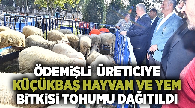 Ödemişli üreticiye küçükbaş hayvan ve yem bitkisi tohumu dağıtıldı