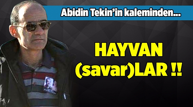 Abidin Tekinin Kaleminden