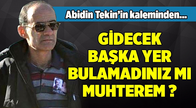 Abidin Tekinin Kaleminden