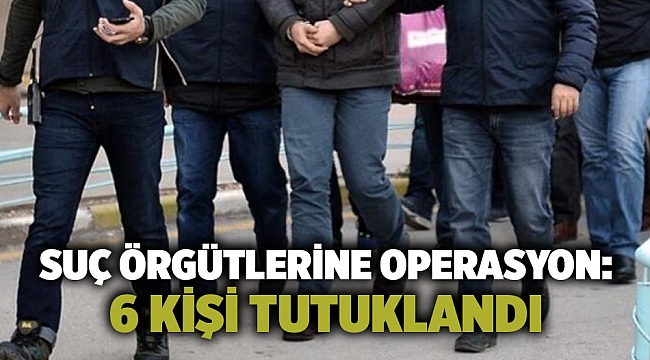 İzmir ve Aydın'da suç örgütlerine operasyon: 6 kişi tutuklandı