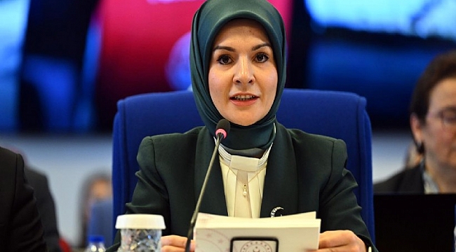 &#039;Kadına yönelik şiddetle mücadele siyaset üstü bir meseledir&#039;