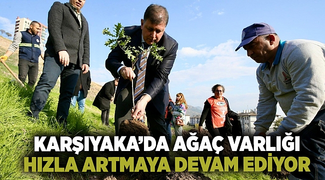 Karşıyaka’da ağaç varlığı hızla artmaya devam ediyor