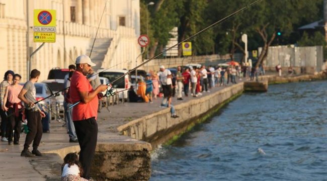 Olta balıkçılarından para mı istenecek? Profesör Kocabaş'tan öneri