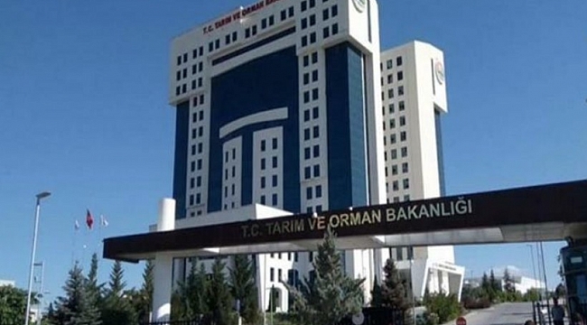 Tarım ve Orman Bakanlığı 7 bin 158 personel alacak!