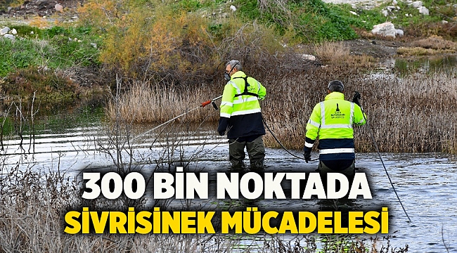 300 bin noktada sivrisinek mücadelesi