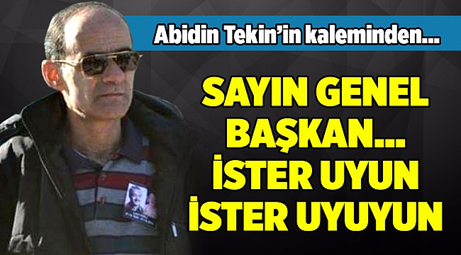 Abidin Tekinin Kaleminden