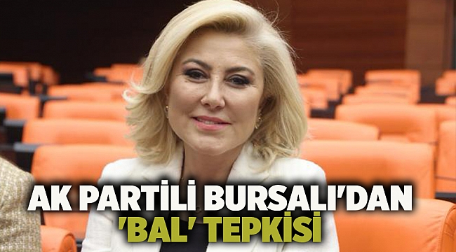 AK Partili Bursalı'dan 'BAL' tepkisi