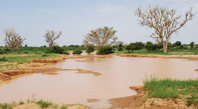 İklim krizi sıtma vakalarını arttırıyor