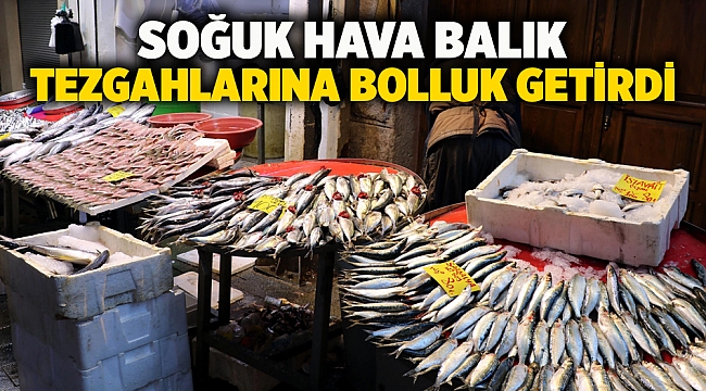 Soğuk hava balık tezgahlarına bolluk getirdi