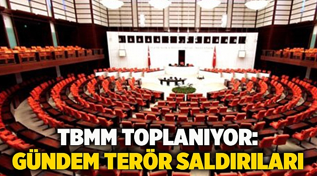 TBMM toplanıyor: Gündem terör saldırıları