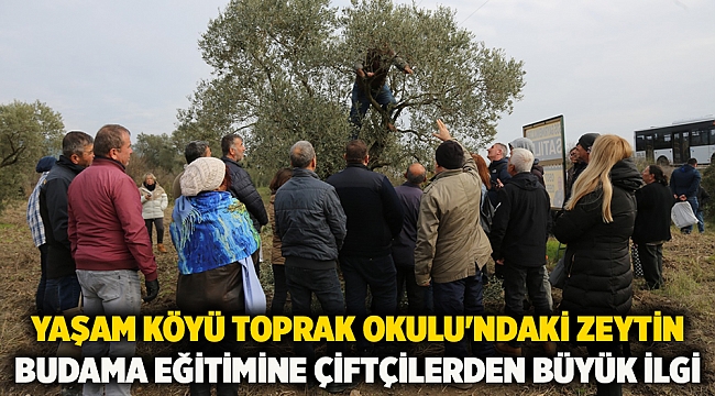 Yaşam Köyü Toprak Okulu'ndaki Zeytin Budama Eğitimine Çiftçilerden Büyük İlgi