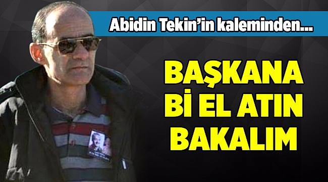 Abidin Tekinin Kaleminden
