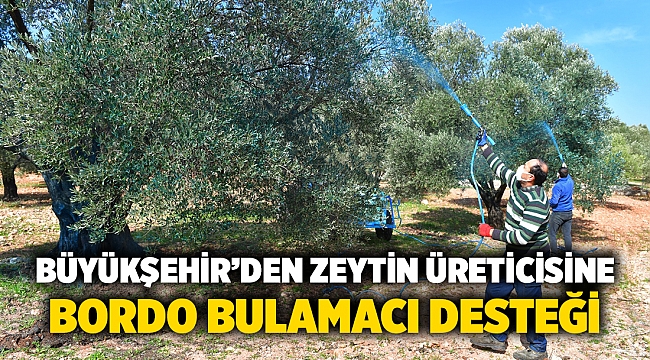 Büyükşehir’den zeytin üreticisine bordo bulamacı desteği