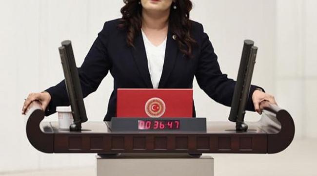 CHP İzmir Milletvekili Sevda Erdan Kılıç çocukların türbe ziyaretine götürülmesine tepki gösterdi