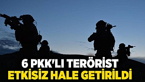 Irak ve Suriye'nin kuzeyinde 6 PKK'lı terörist etkisiz hale getirildi