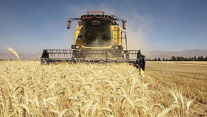 Tarımsal girdi enflasyonu %41.4