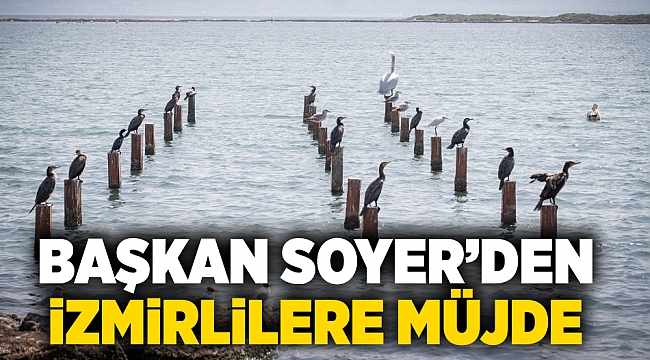 Başkan Soyer’den İzmirlilere müjde: Flamingo Doğa Parkı’nda yüzde 80’lere gelindi