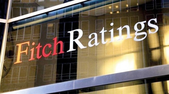 FItch: Türkiye bu yıl yüzde 2.8 büyüyecek
