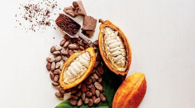 Hızla artan fiyatlar tarihi seviyede: Dünya ‘kakao’ krizinin eşiğinde