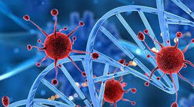 Kadınlarda kanser riski artıyor