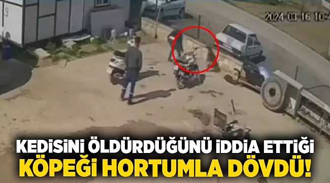 Kedisini öldürdüğünü iddia ettiği köpeği hortumla dövdü!