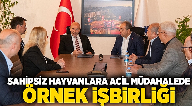 Sahipsiz hayvanlara acil müdahalede örnek işbirliği