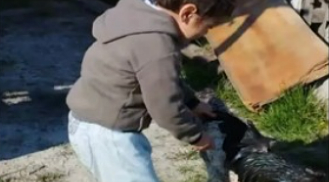 Güne acı bir haber!