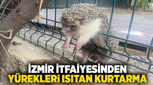 İzmir İtfaiyesinden yürekleri ısıtan kurtarma