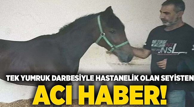 Tek yumruk darbesiyle hastanelik olan seyisten acı haber!