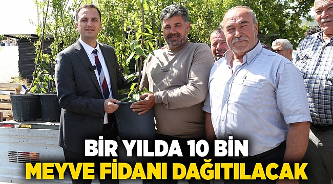 Bir yılda 10 bin meyve fidanı dağıtılacak
