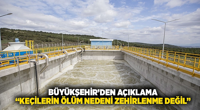 Büyükşehir’den açıklama “Keçilerin ölüm nedeni zehirlenme değil”