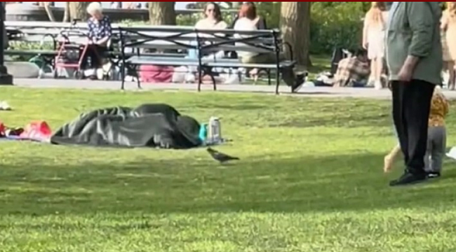 Çevrelerindekilere aldırış etmediler! Parkta ilişkiye girdiler