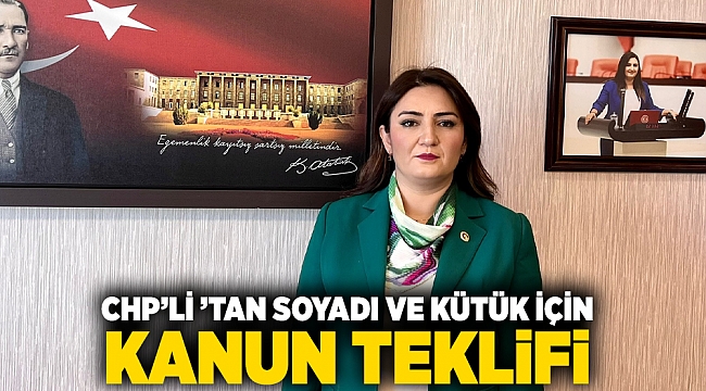CHP&#039;li Kılıç&#039;tan soyadı ve kütük için kanun teklifi: &#039;Eşlerimizin hemşehrisi değil eşitiyiz&#039;