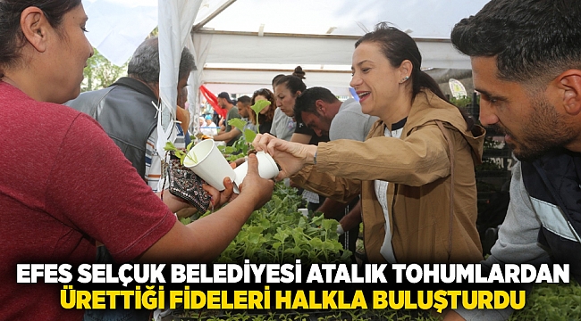 EFES SELÇUK BELEDİYESİ ATALIK TOHUMLARDAN ÜRETTİĞİ FİDELERİ HALKLA BULUŞTURDU