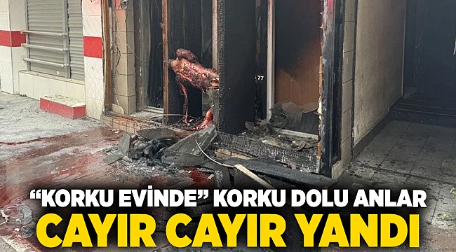 “Korku evinde” korku dolu anlar... Cayır cayır yandı