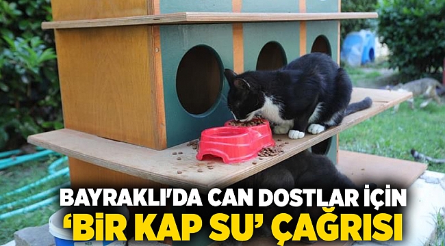 Bayraklı'da can dostlar için ‘bir kap su’ çağrısı